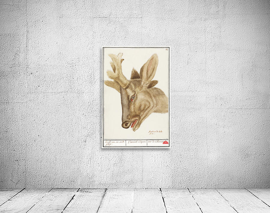 Deer head in vintage style Wall Preview
