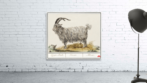 Goat in vintage style Wall Preview