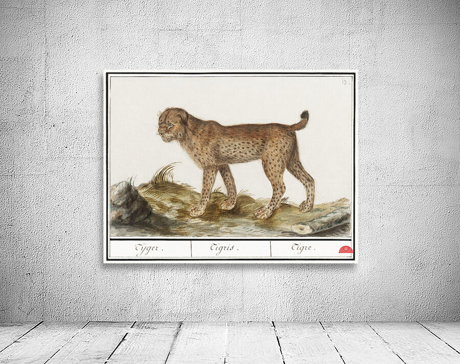 Lynx in vintage style Wall Preview