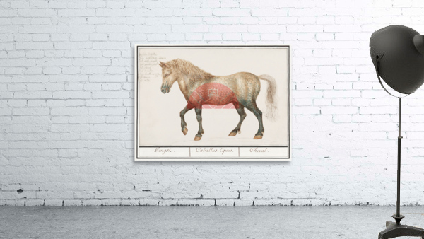 Horse in vintage style Wall Preview