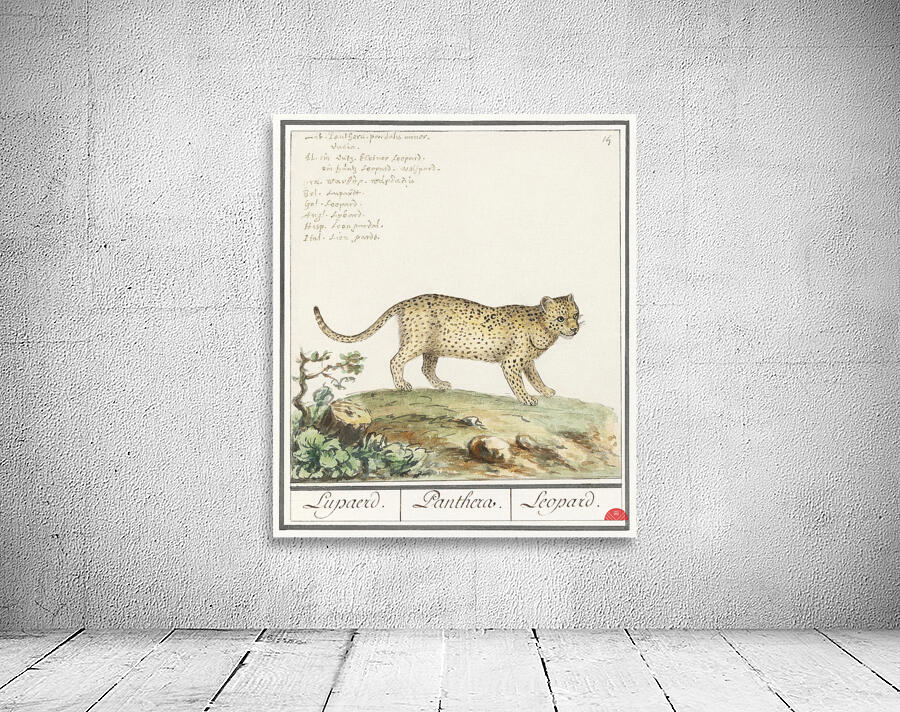 Leopard in vintage style Wall Preview