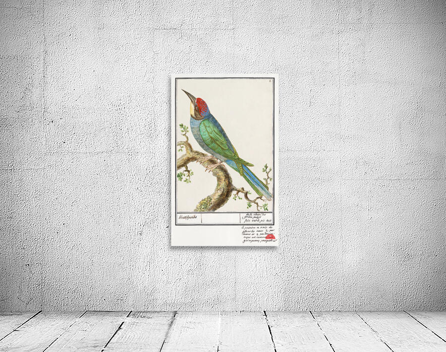 Ibex in vintage style Wall Preview