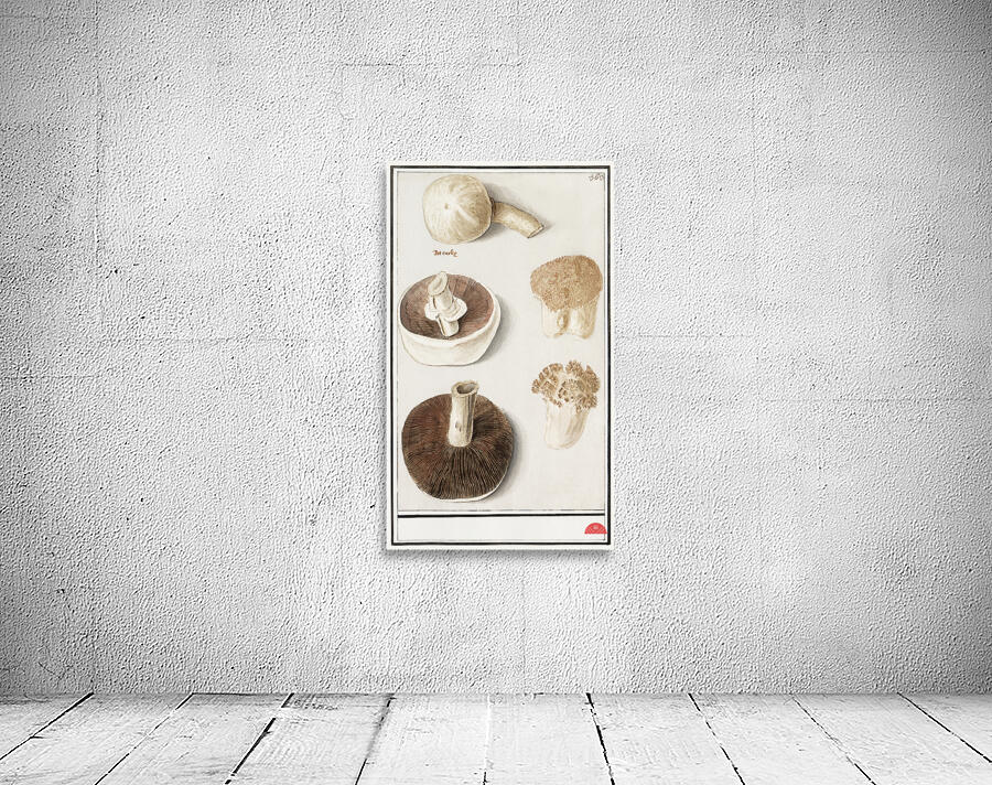 Mushrooms in vintage style Wall Preview