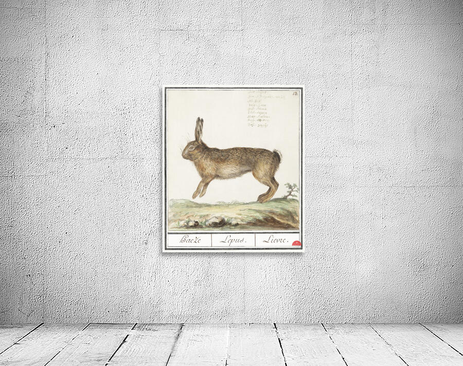 Hare in vintage style Wall Preview