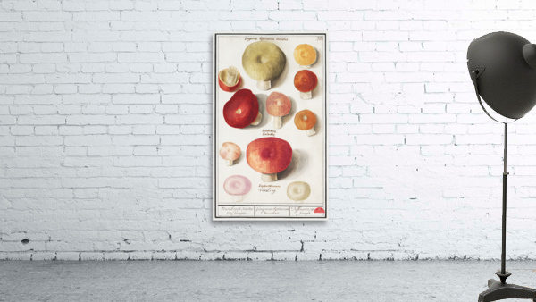 Mushrooms in vintage style Wall Preview