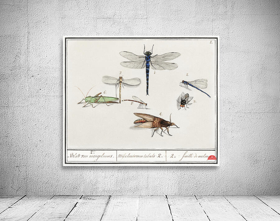 Dragonflies in vintage style Wall Preview