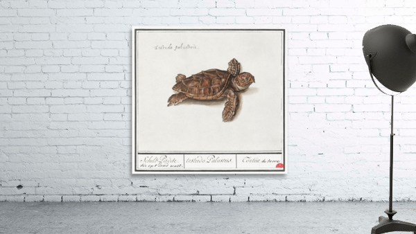 Sea turtle in vintage style Wall Preview