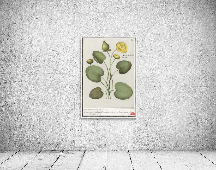 Yellow floppy flower Wall Preview