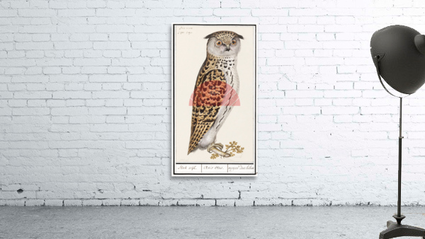 Scops owl in vintage style Wall Preview