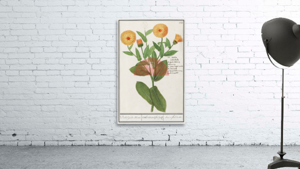 Barn owl in vintage style Wall Preview