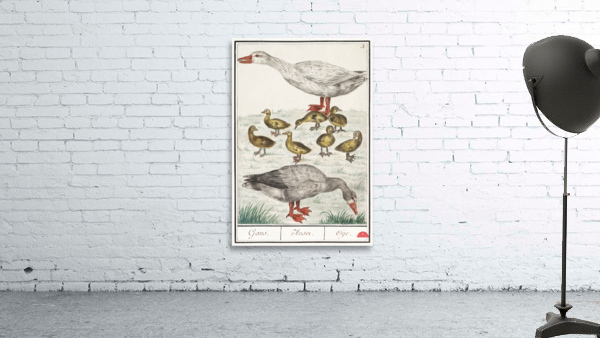 Farm goose in vintage style Wall Preview