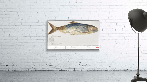 Shad in vintage style Wall Preview