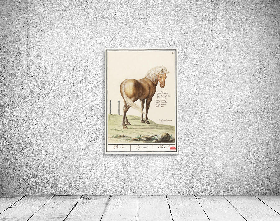 Horse in vintage style Wall Preview