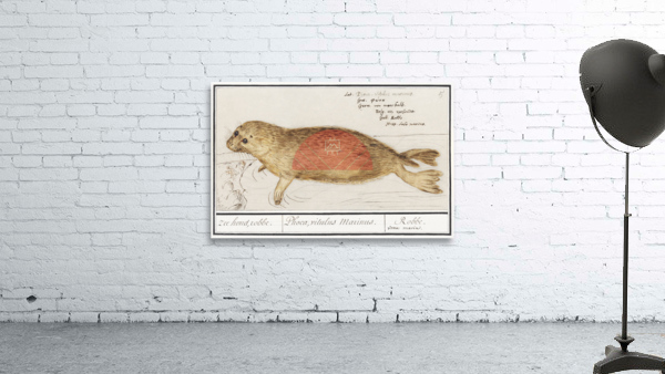 Seal in vintage style Wall Preview