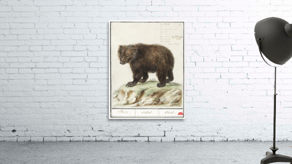 Grizzly bear in vintage style Wall Preview