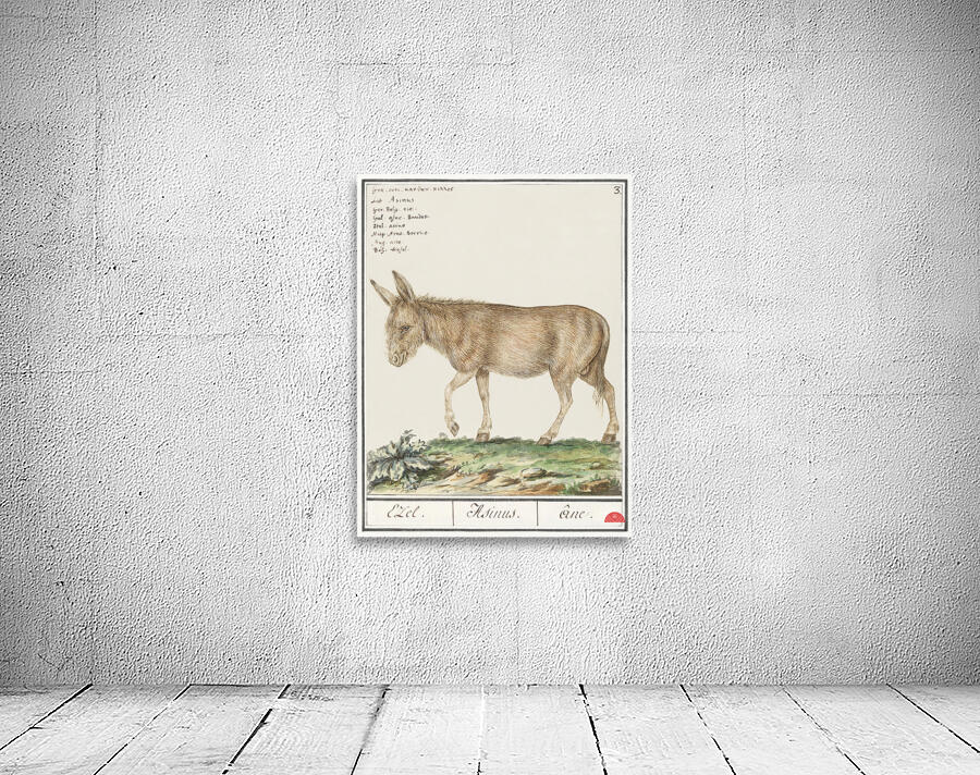 Donkey in vintage style Wall Preview