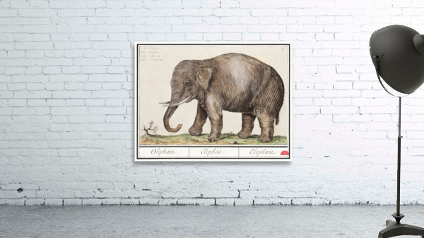Elephant in vintage style Wall Preview