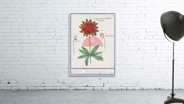 Anemone in vintage style Wall Preview