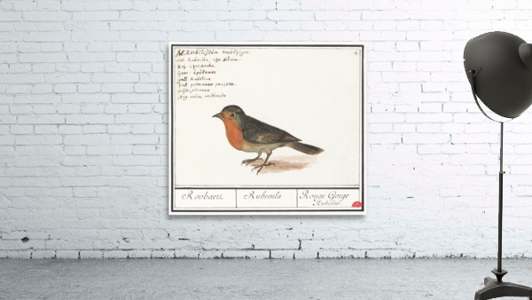 Robin in vintage style Wall Preview