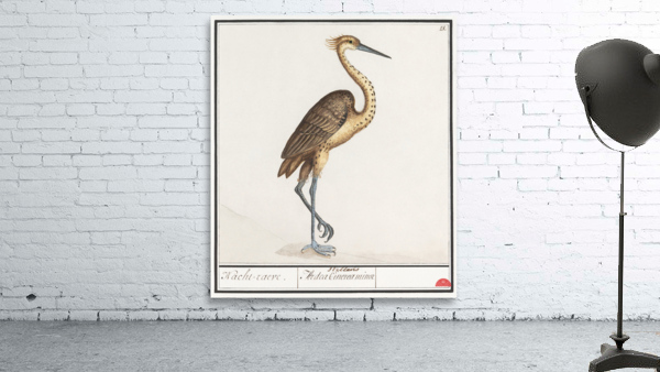 Heron in vintage style Wall Preview