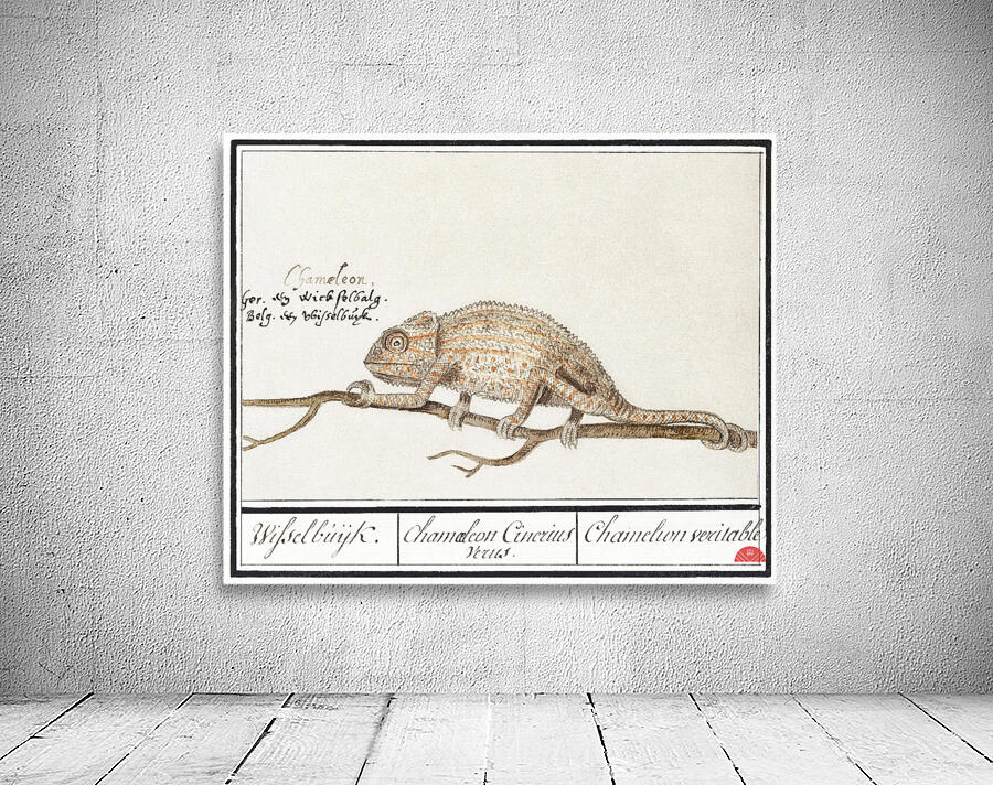 Chameleon in vintage style Wall Preview