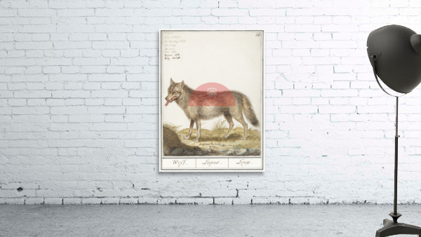 Wolf in vintage style Wall Preview