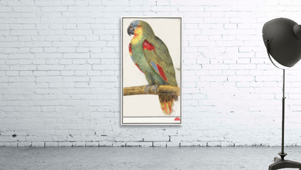 Parrot in vintage style Wall Preview