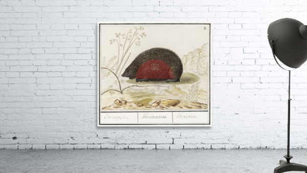 Hedgehog in vintage style Wall Preview