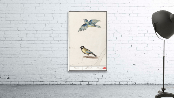 Passerines in vintage style Wall Preview