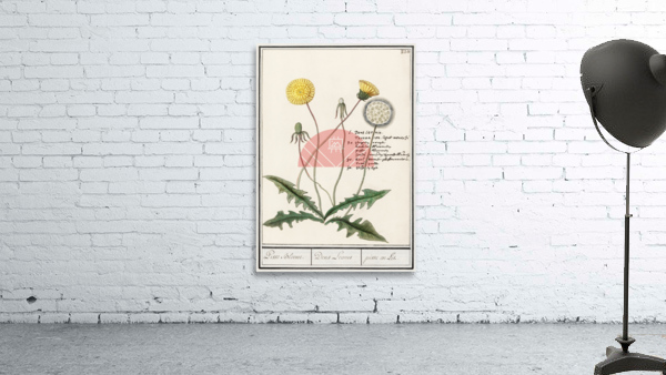 Dandelion in vintage style Wall Preview