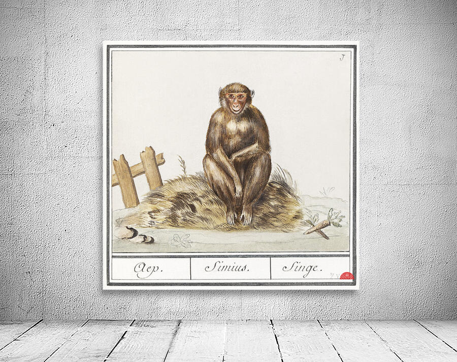 Monkey in vintage style Wall Preview