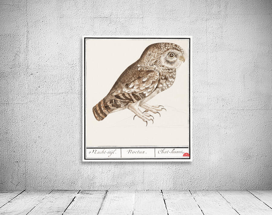 Owl in vintage style Wall Preview
