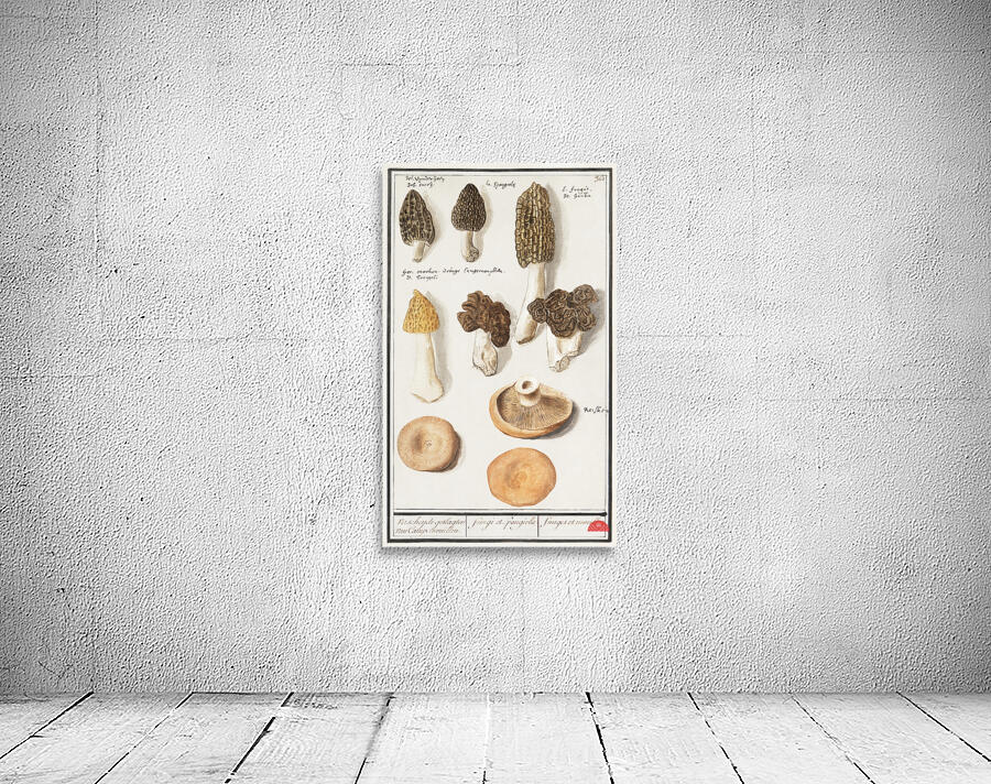 Mushrooms in vintage style Wall Preview