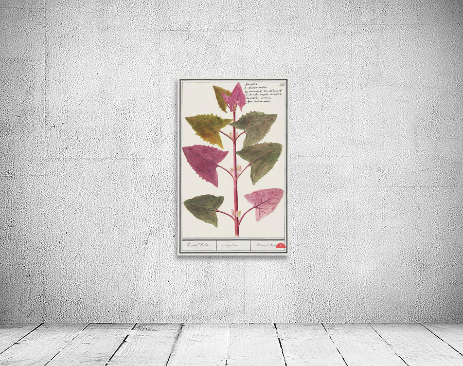 Garden orache in vintage stylered orache Wall Preview