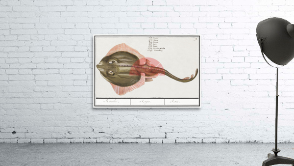 Rays in vintage style Wall Preview