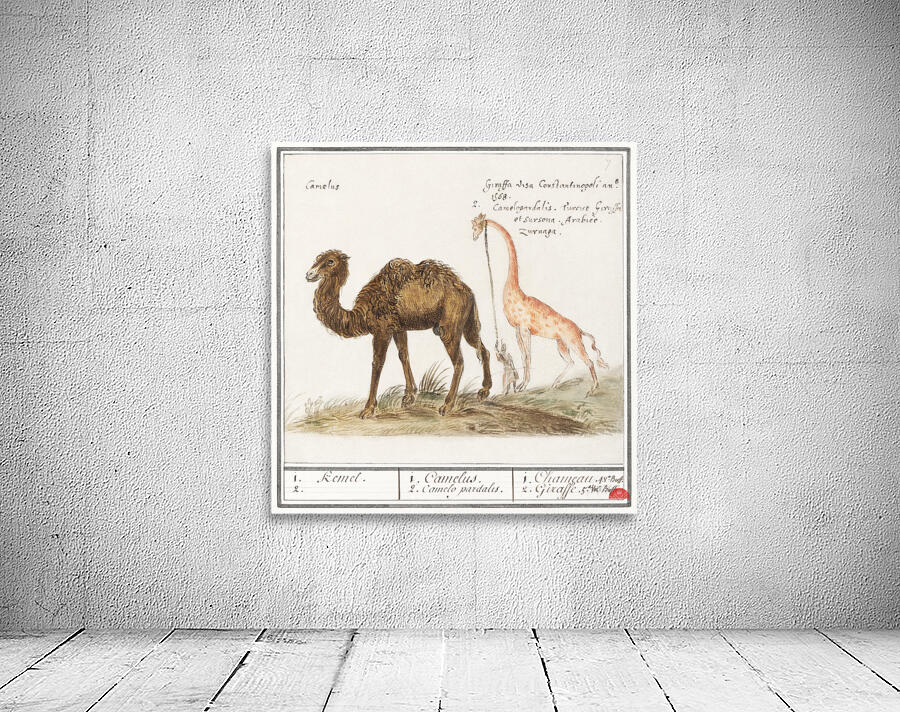 Anemone flower in vintage style Wall Preview