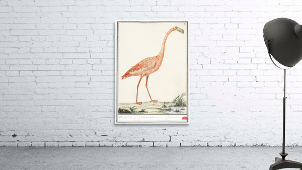 Flamingo in vintage style Wall Preview