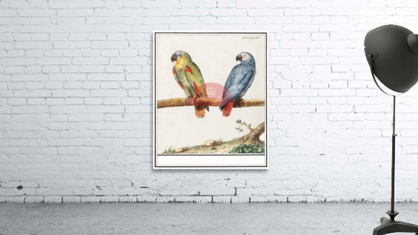 Parrots in vintage style Wall Preview