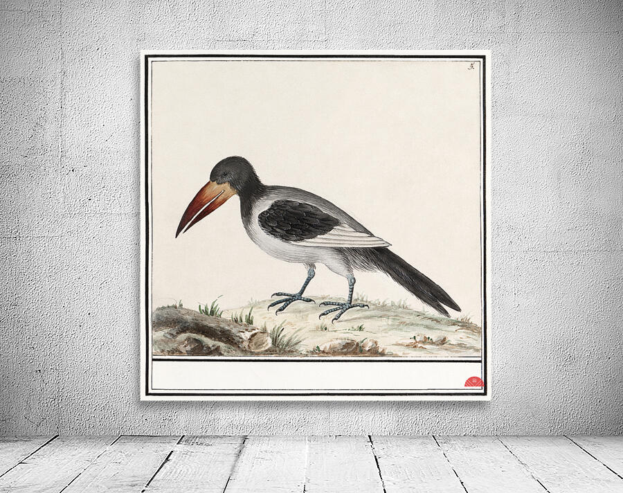 Unknown bird in vintage style Wall Preview