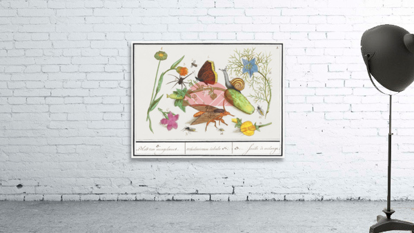 Nature ensemble in vintage style Wall Preview