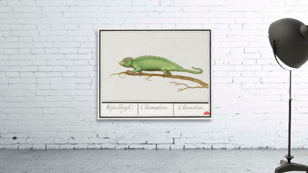 Chameleon in vintage style Wall Preview