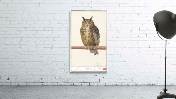 Long eared owl in vintage style Wall Preview