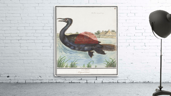 Cormorant in vintage style Wall Preview