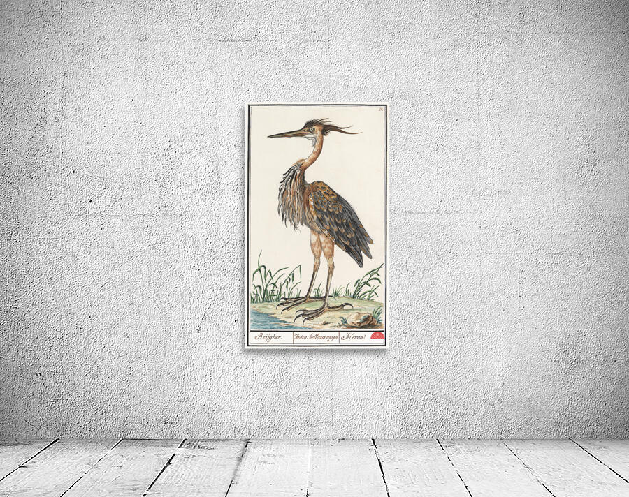 Purple heron in vintage style Wall Preview