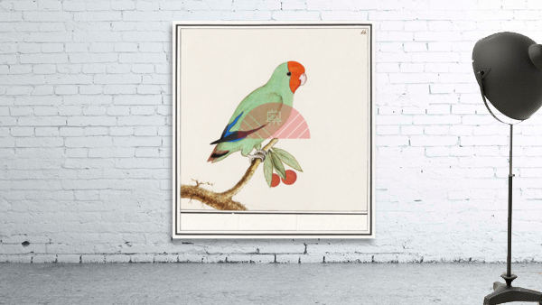 Wallcreeper in vintage style Wall Preview