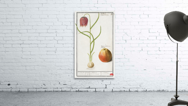 Snakes head flower and apple Wall Preview