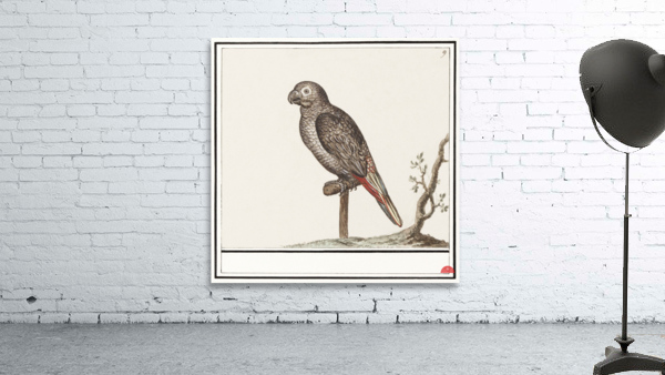 Parrot in vintage style Wall Preview
