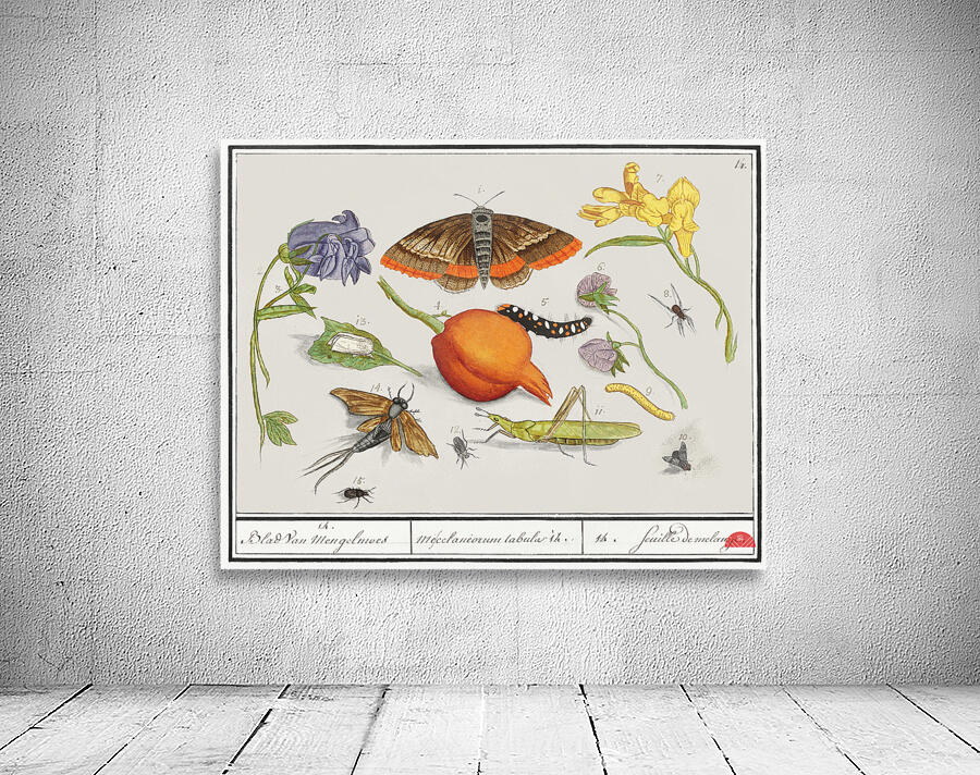 Nature ensemble in vintage style Wall Preview