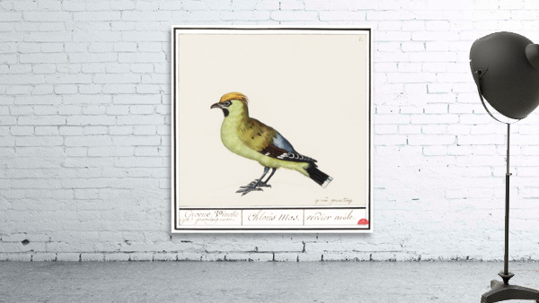 Bohemian waxwing in vintage style Wall Preview