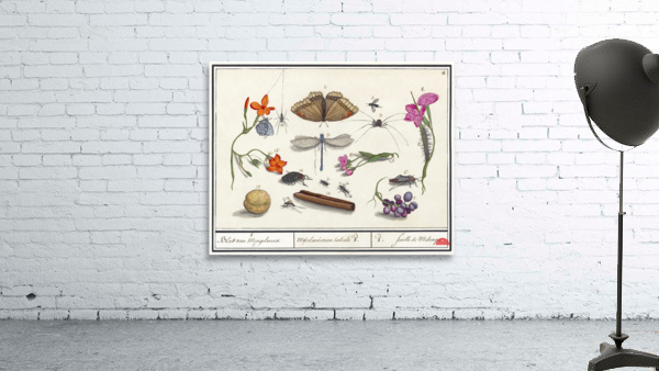 Nature ensemble in vintage style Wall Preview